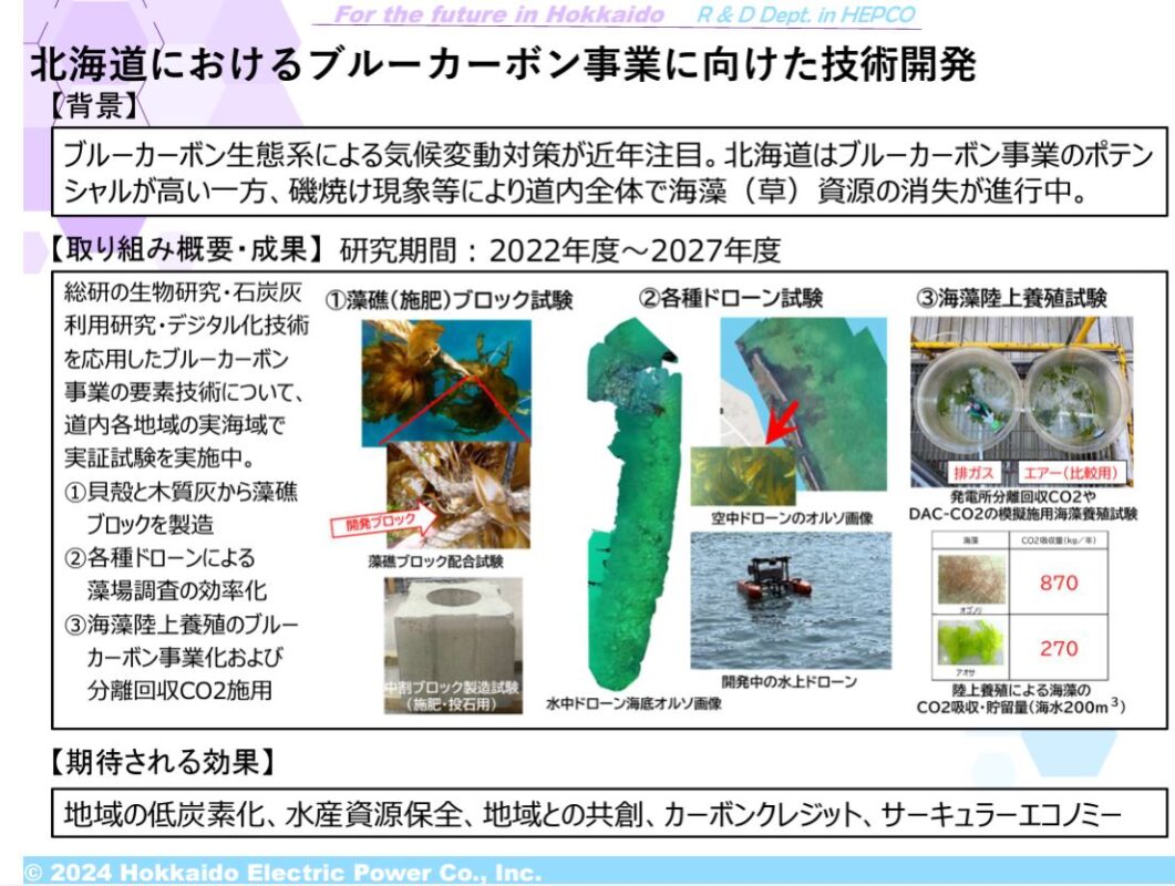 ほくでん総合研究所の北海道におけるブルーカーボン事業に向けた技術開発