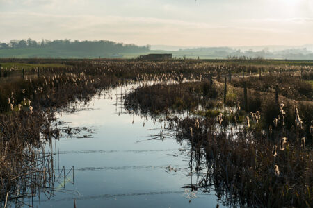 英国：野禽湿地トラスト（WWT）、新たな湿地の創造への取り組み