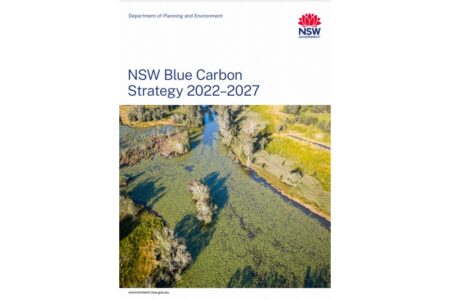 オーストラリア：ニューサウスウェールズ州、ブルーカーボン戦略を発表