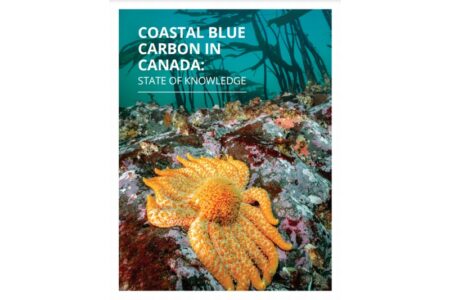 WWFカナダ、ブルーカーボンの現状について共同作業による報告書を発表