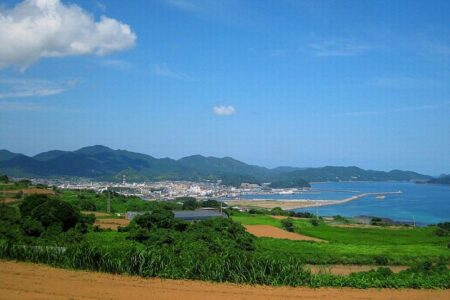 長崎県五島市：藻場を活用してカーボン・ニュートラルを促進