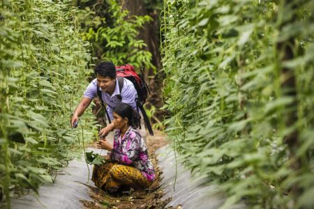 USAID、カンボジアの生物多様性保護とコミュニティ支援に対する新たなプロジェクトを発表