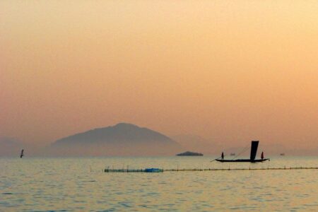 沿岸湿地のブルーカーボン生態系と水質の関連を研究し、小規模漁業の存続を目指す