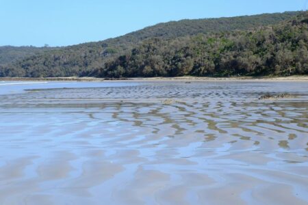 オーストラリア海洋科学研究所（AIMS）、湿地の土壌に貯留されているブルーカーボンの源を解明