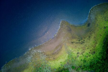 西インド洋で初の海草マッピング、保全と気候対策を加速