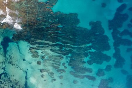 世界銀行、東部熱帯太平洋海洋保護回廊（CMAR）の持続可能性を支える文書を発表