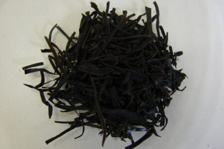 セルロースを活用した藻場造成の実証、千葉県で有効性判明