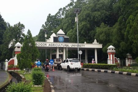 インドネシアと韓国が協働、マングローブの再生と水産養殖の統合的取り組み