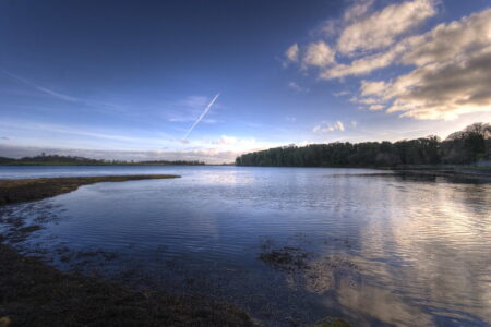 北アイルランド、農業環境農村地域省（DAERA）の技術で新たな海草藻場を発見　