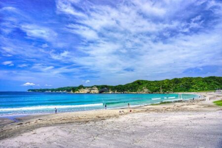 不動産会社参画初の「Jブルークレジット認証」取得――勝浦でのブルーカーボン・クレジットを創出