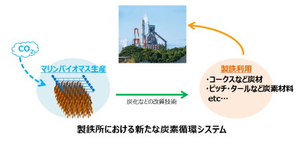日本製鉄株式会社：「鉄」による藻場再生とカーボンニュートラルの同時実現を!～マリンバイオマス（海藻）の可能性への期待～